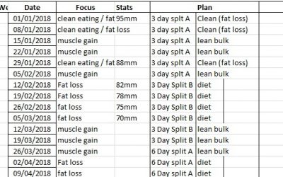 Copy This Plan At Your Peril :) (My Plan Inside)