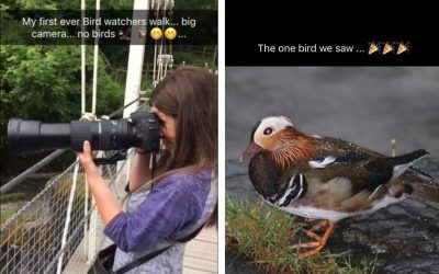 Free Time Vs Results