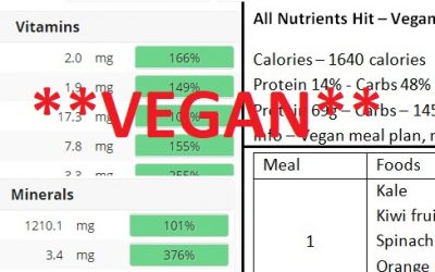 Vegan – All Vitamins & Minerals In A Day Plan