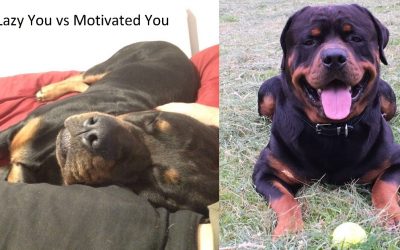 Low Motivation Exercise Plans