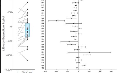 Low Carb vs High Carb Plans On Energy Expenditure