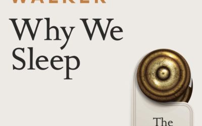 Sleep & Body Transformations