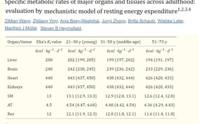 Factors Affecting Calorie Needs
